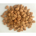 Almond, Blanched Almond, Roasted Almond, Sweet Almond, Bitter Alond